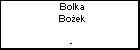 Bolka Boek